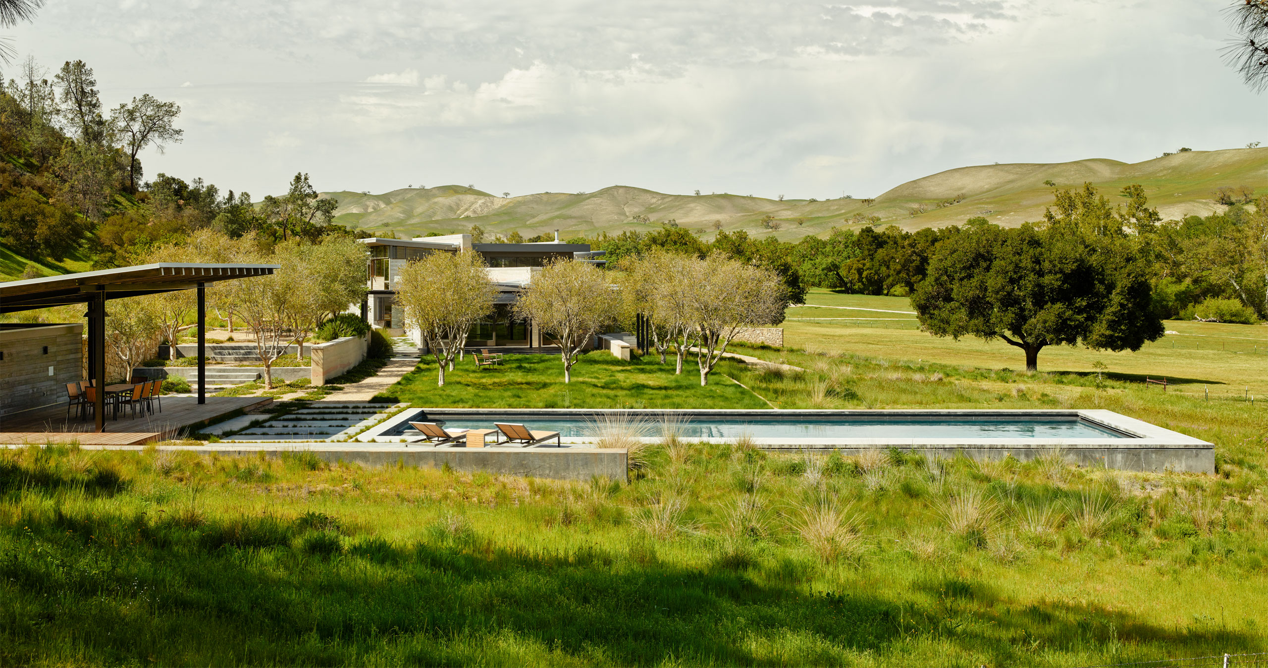 SALAMANDER HOUSE Ground Studio