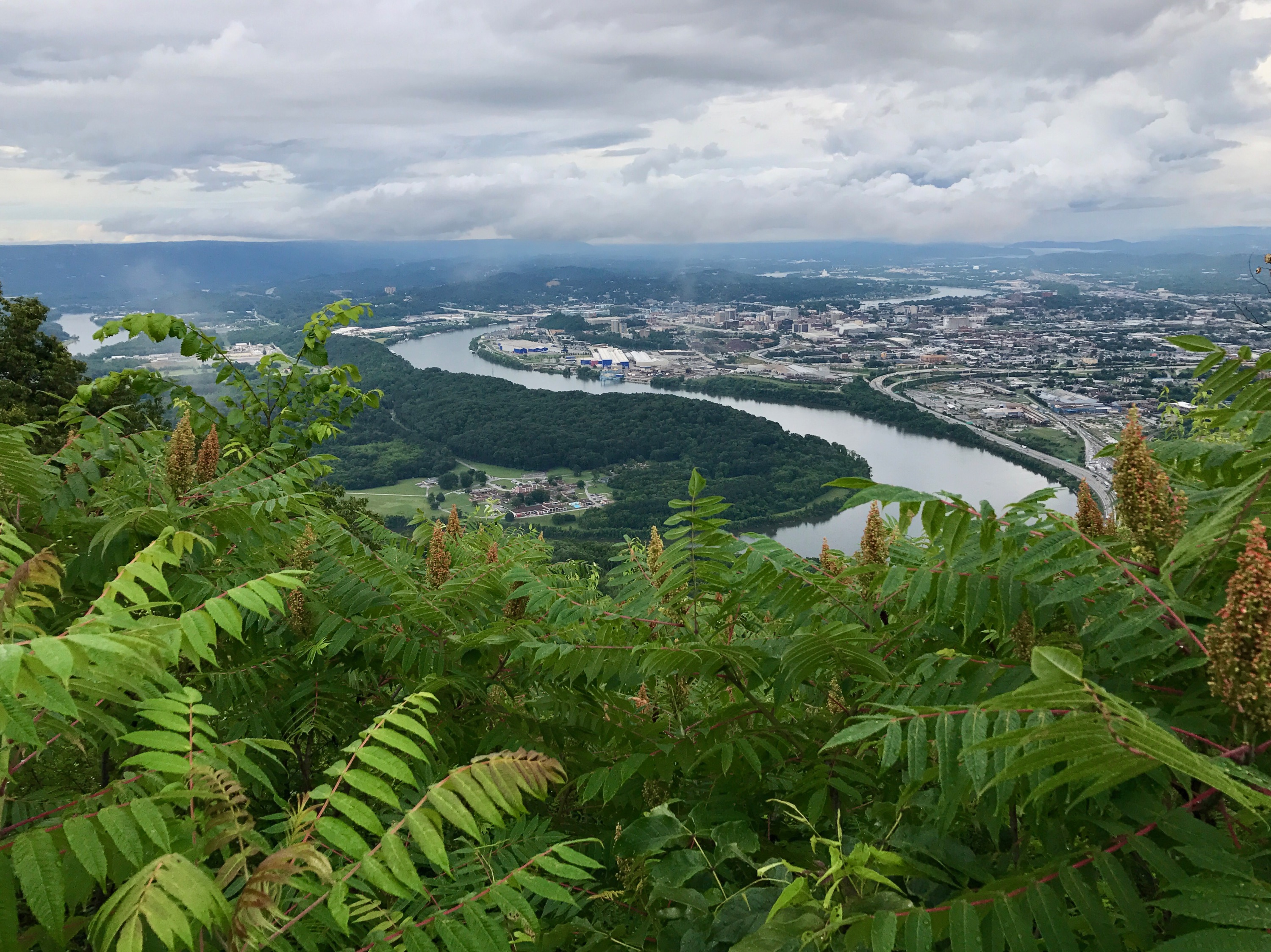 Chattanooga Landscape & Hardscape Design