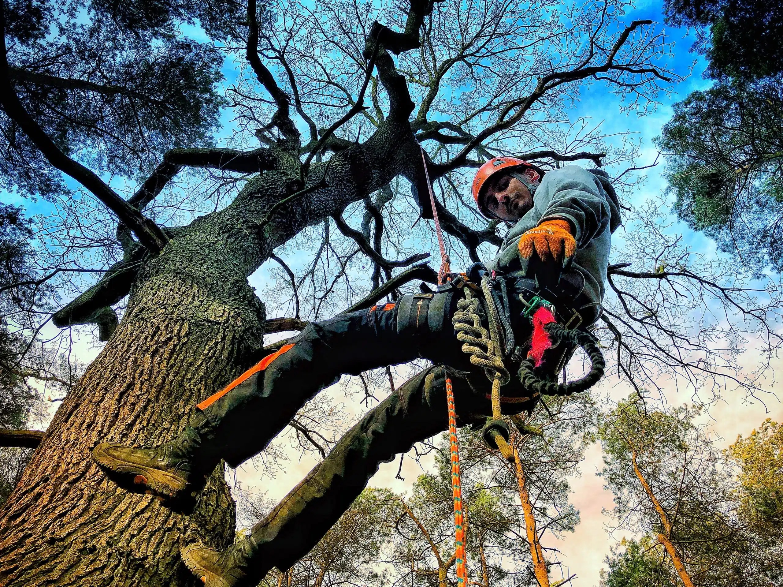 Chainsaw Use From MEWP Ground Up Training