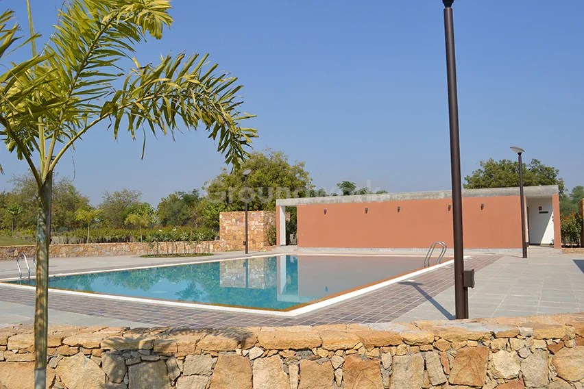 Suramya Grove Groundwork