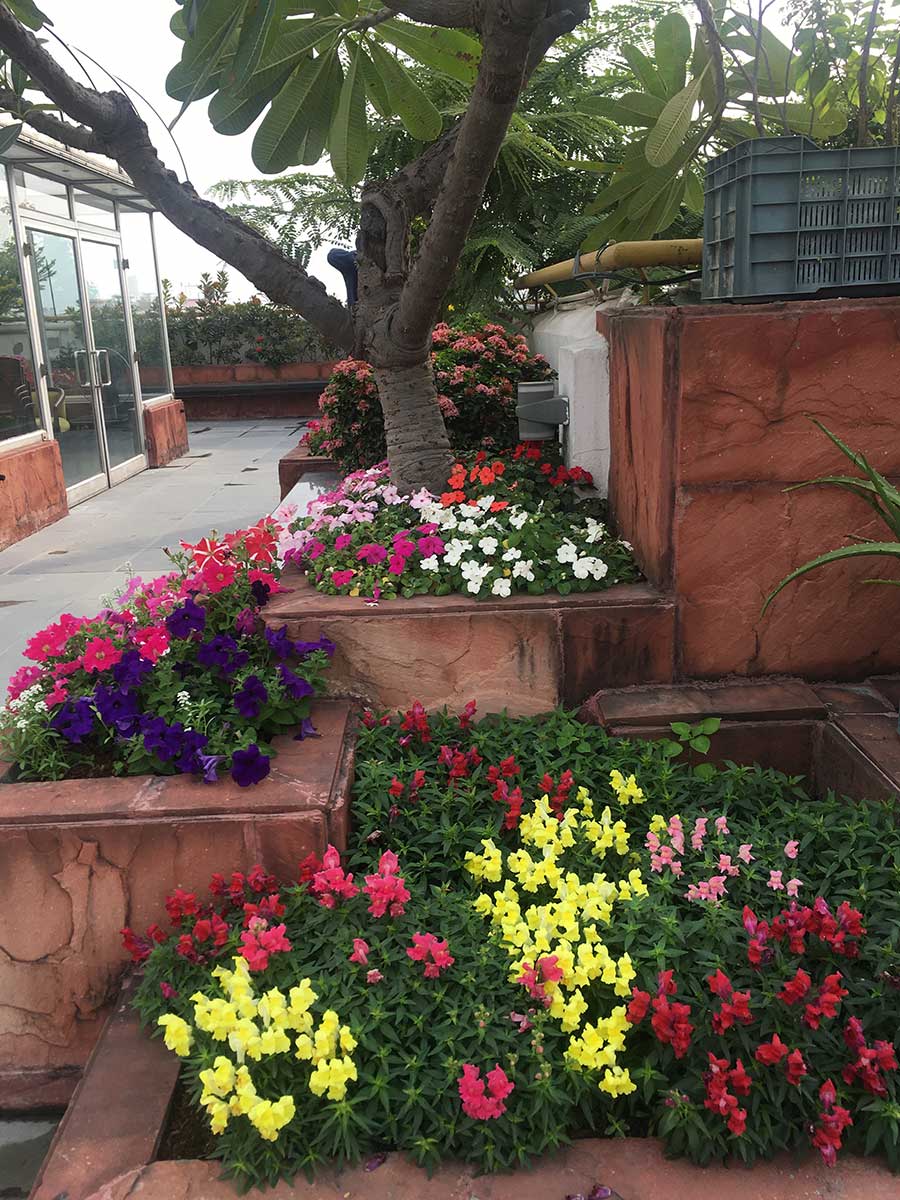 Mandeville Gardens groundwork