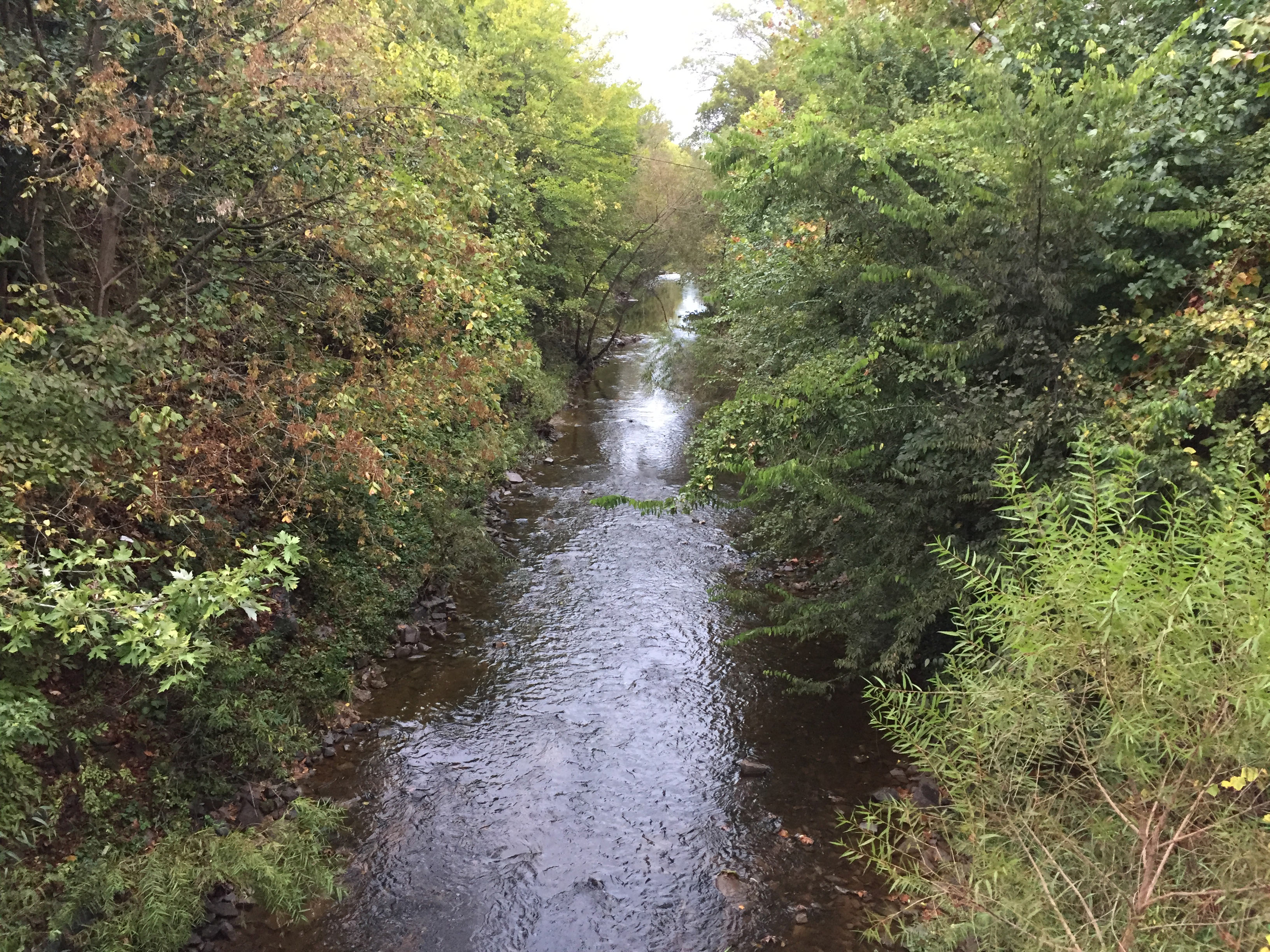 Rivulet at the Brandywine Plaza groundworks studio