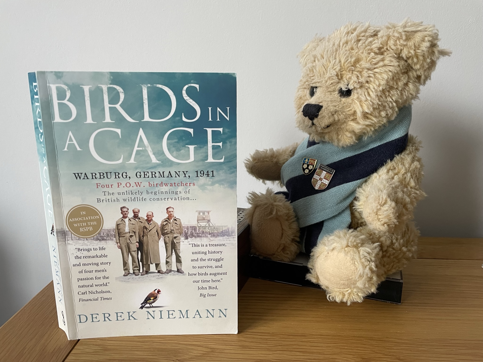 Derek Niemann Birds in A Cage Stort Valley Local Group