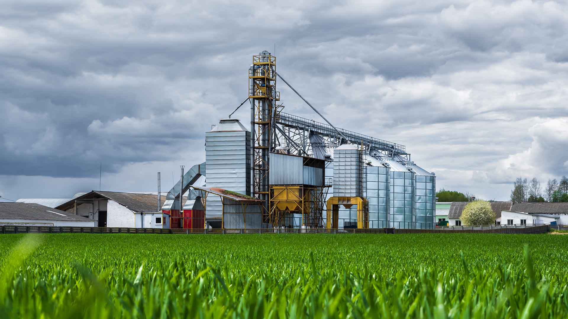 The Ultimate Guide to Choosing a Fertilizer Manufacturer