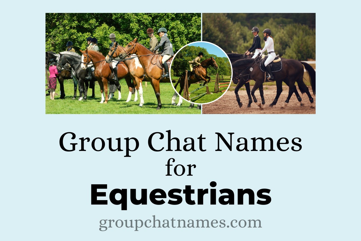 619 Group Chat Names For Equestrians That Will Gallop Into Your Heart