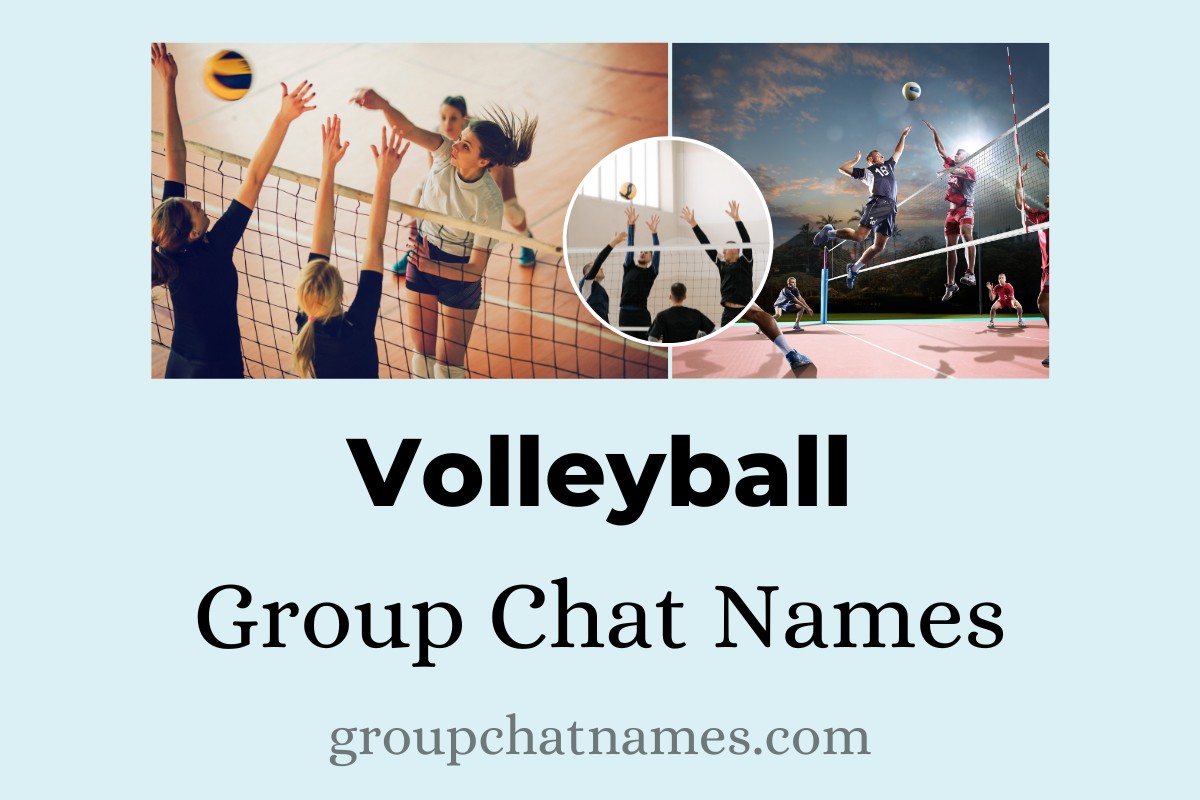 Creative And Catchy Volleyball Group Names