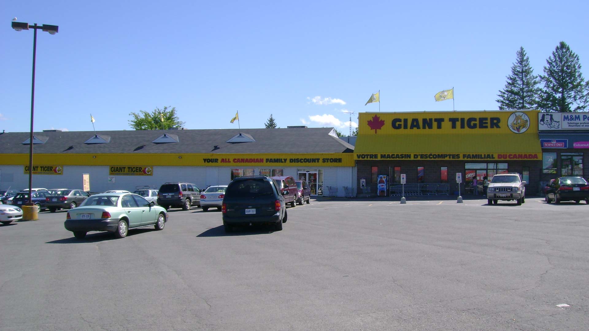 Giant Tiger Sterling