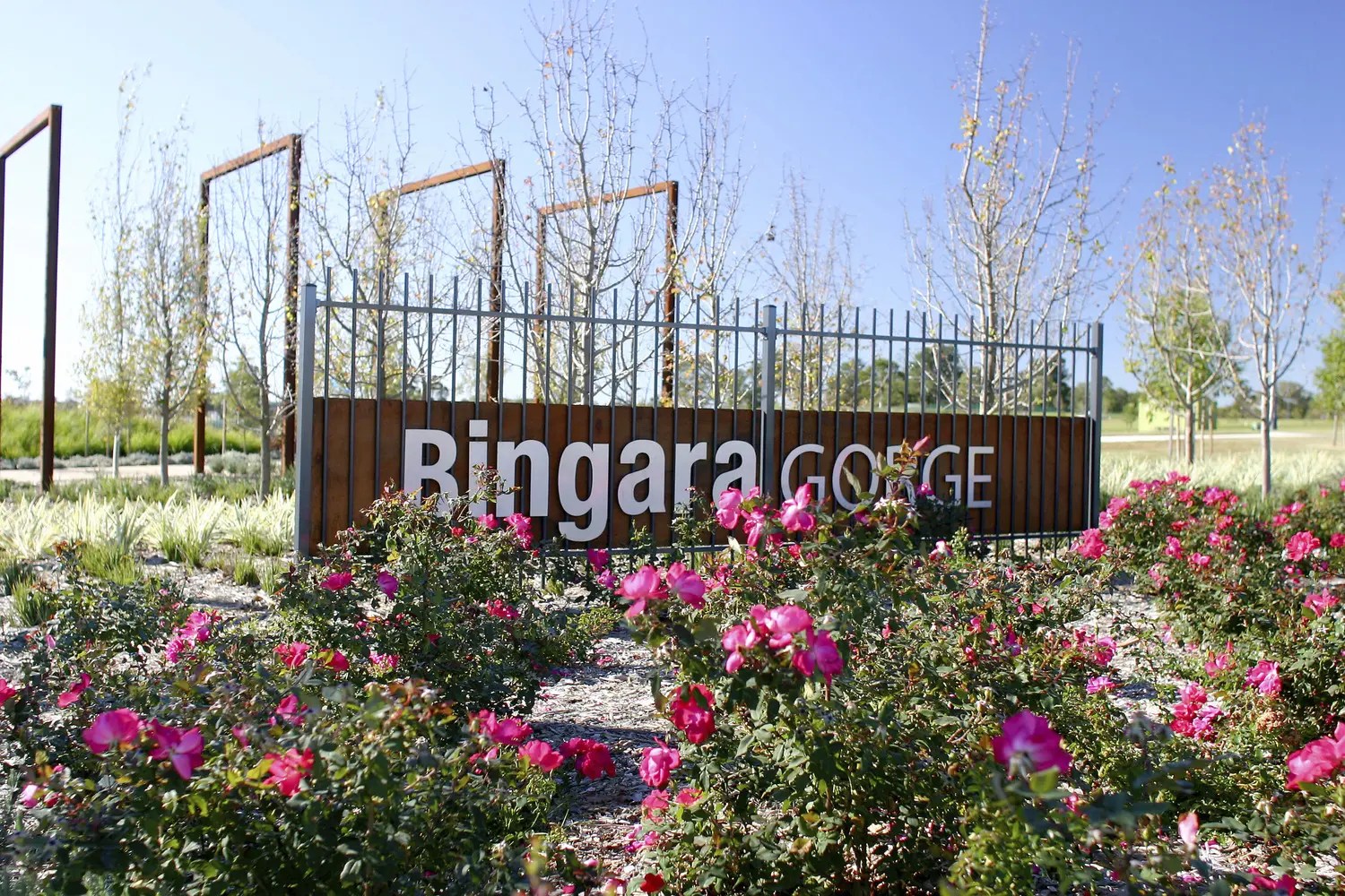 Bingara GroupGSA