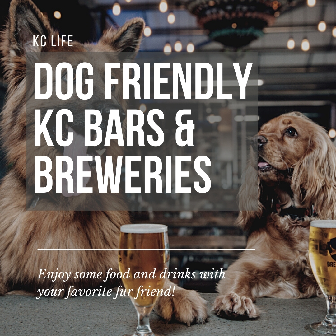 Dog Friendly KC Bars & Breweries Group O'Dell
