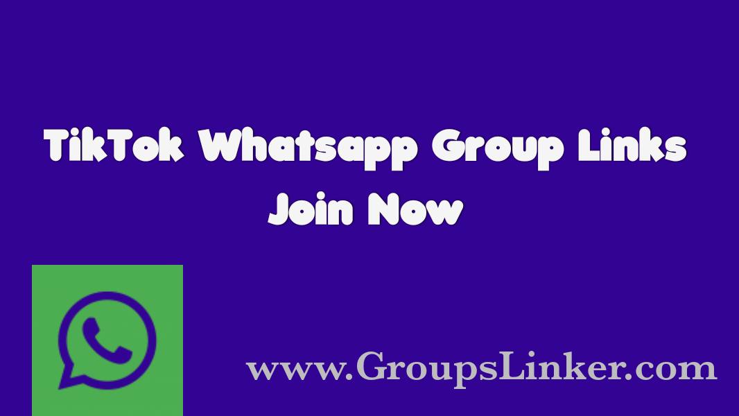 500+ Best Tik Tok WhatsApp Group Link 2022 GroupsLinker