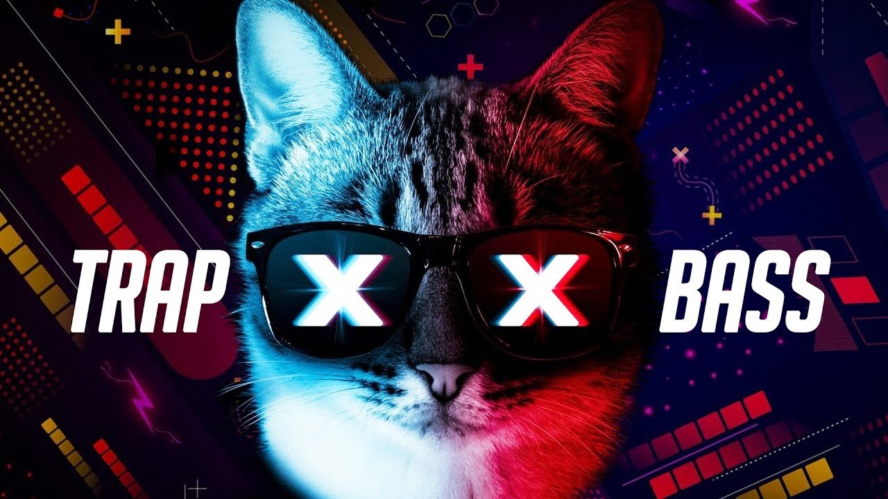 900+ Super Trap Music WhatsApp Group Link Join List