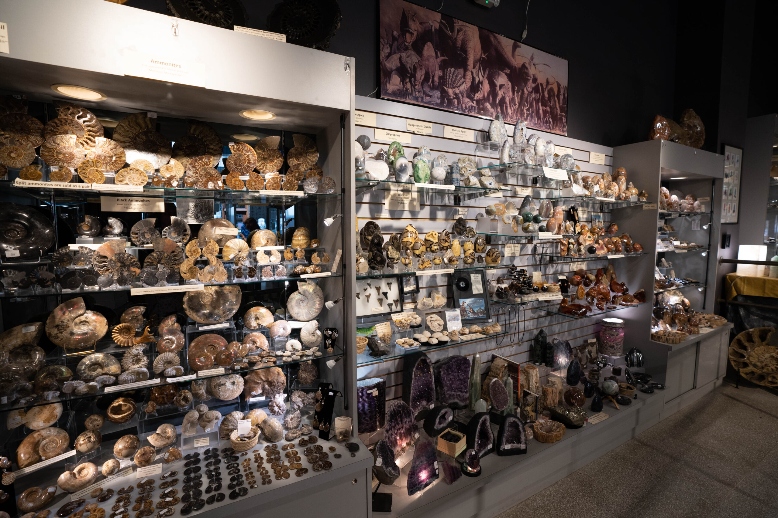 Enter the Earth Grove Arcade