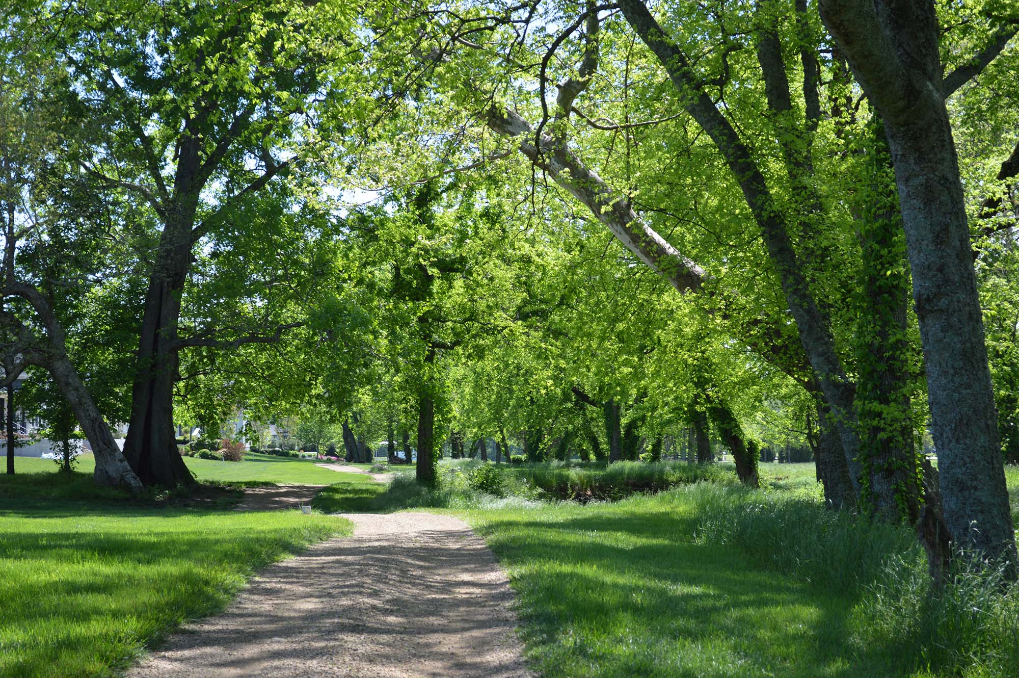 The Grove Community Parks, Trails & Fishing Grove Living