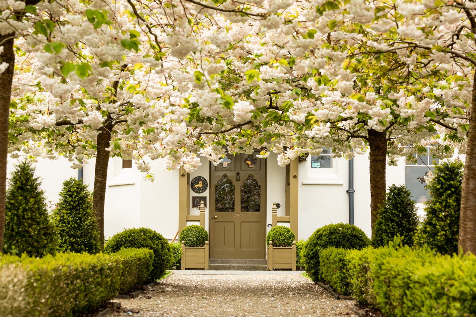 Grove entrance in Spring time