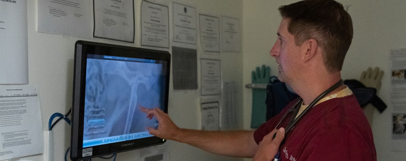 Pet Diagnostic Imaging in Newport, OR Grove Veterinary Clinic