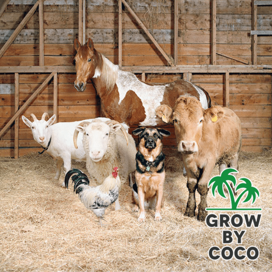 using bale fiber as animal bedding