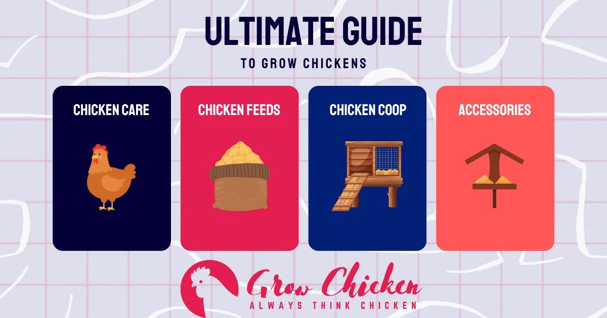 The Ultimate Guide to Grow Chickens Solution] Grow Chicken