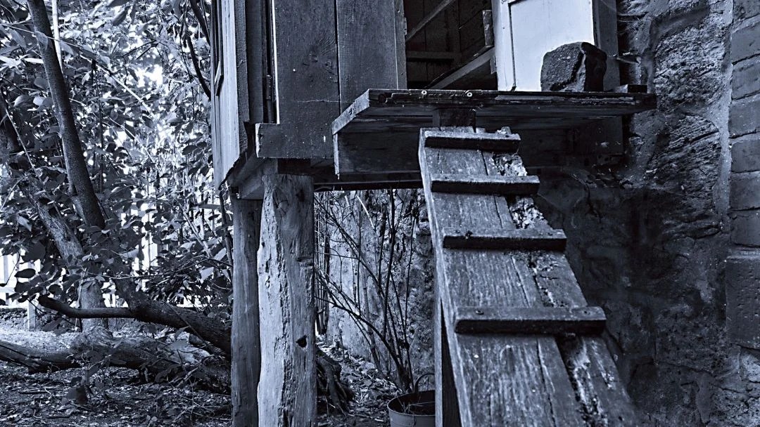 How Steep Can a Chicken Coop Ramp Be? Grow Chicken