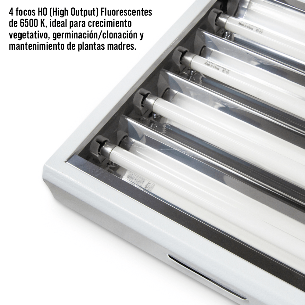 Lampara T5 con 4 focos de HO Fluorescentes de 120 cm de largo 6,500 K