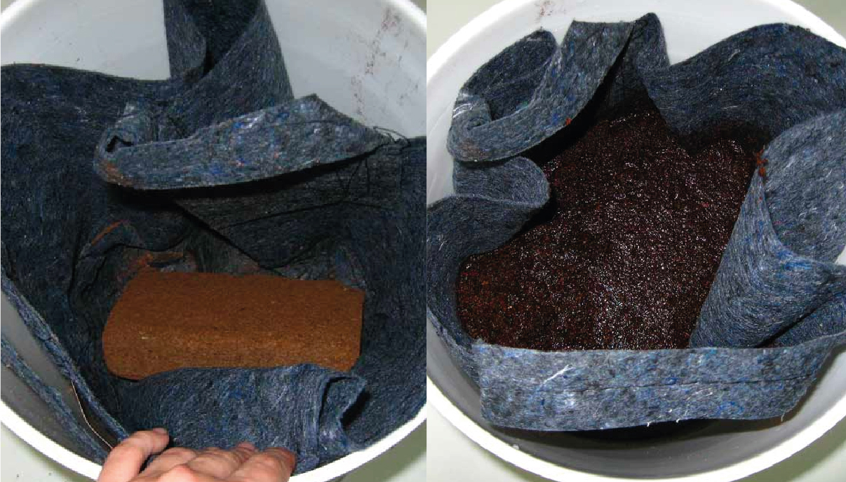 How To Grow Cannabis In Coco Coir GrowDiaries