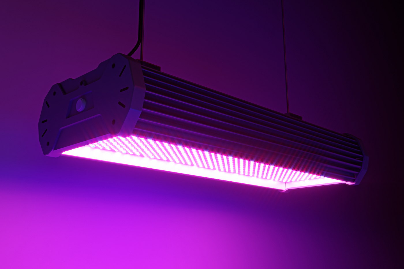 Using LED Grow Lights To Grow Cannabis Dos, Don???ts, And Tips To Get