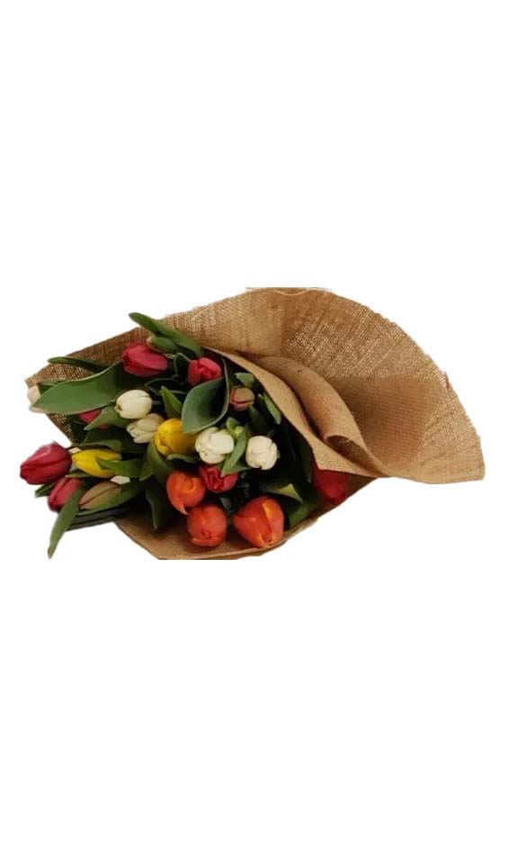 3 Week Tulip Subscription Grower Direct Flowers Canada