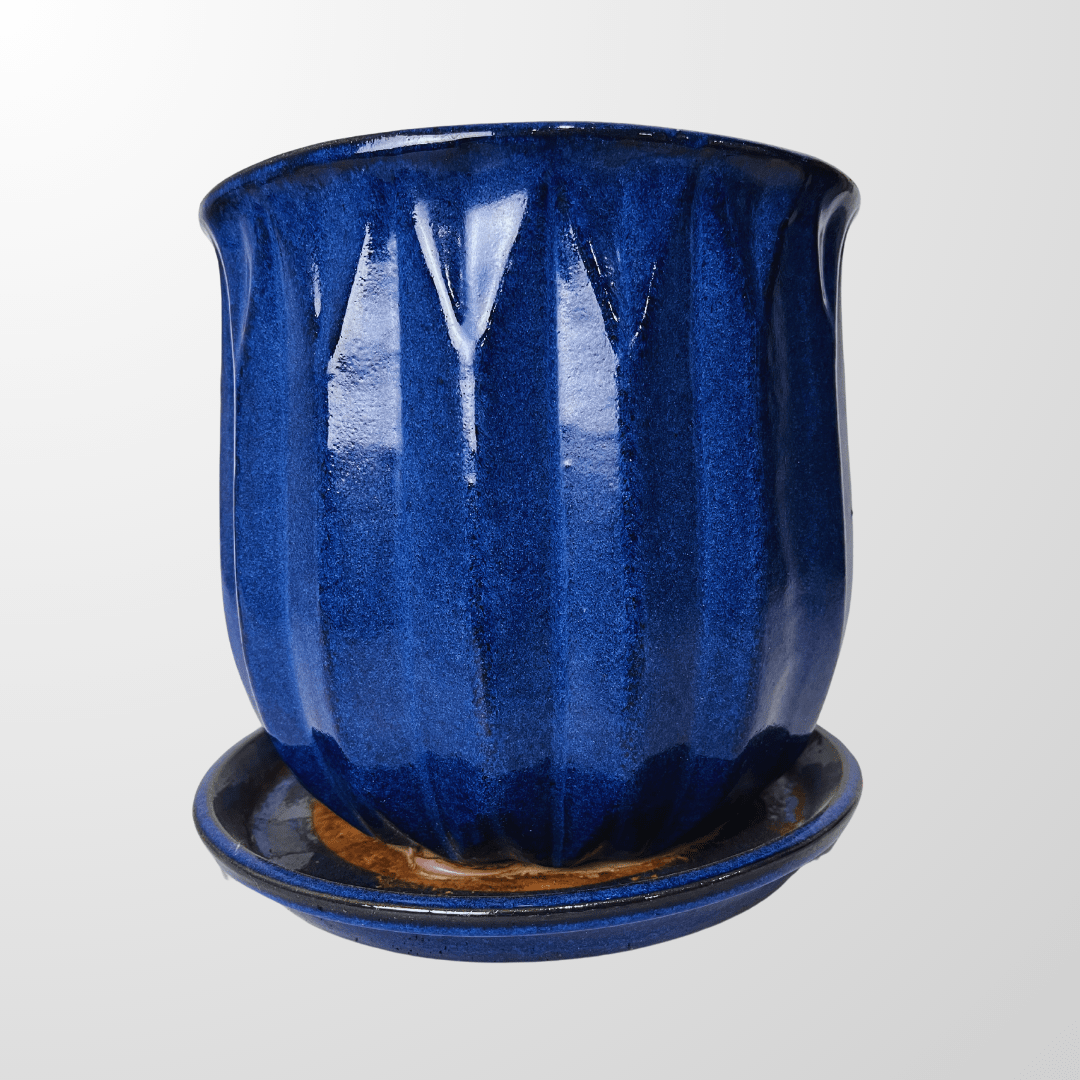 Edmonton Delivery Only Hanging Strawberry Basket Grower Direct