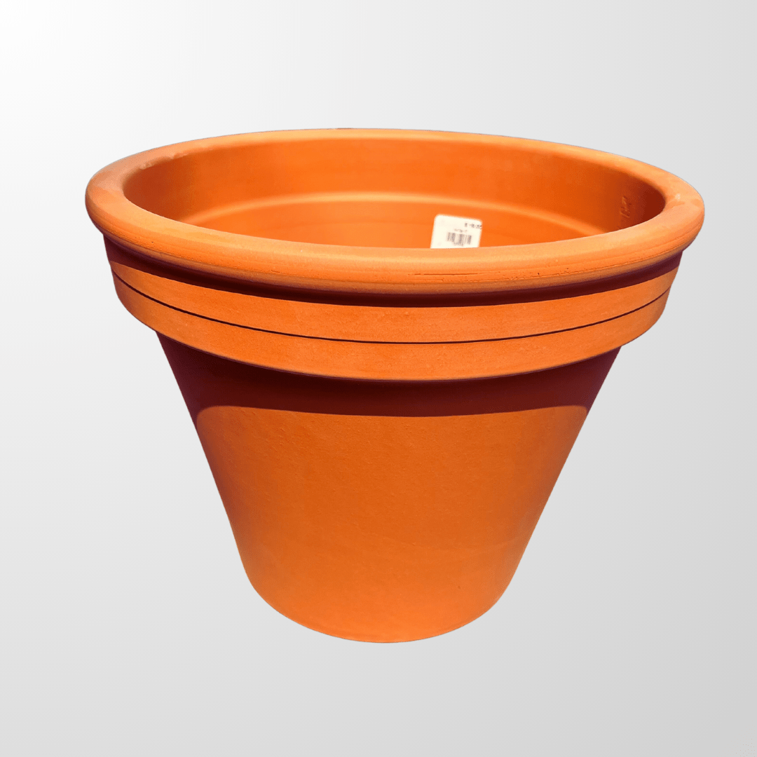 Edmonton Delivery Only Hanging Strawberry Basket Grower Direct