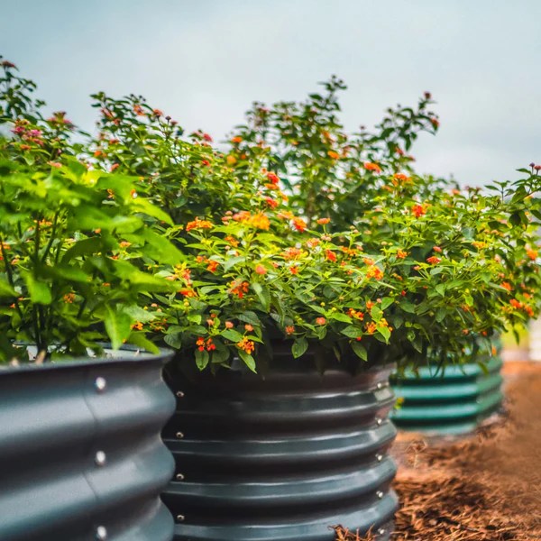 Vego Garden 6 in 1 Modular Metal Raised Bed Grower's Solution