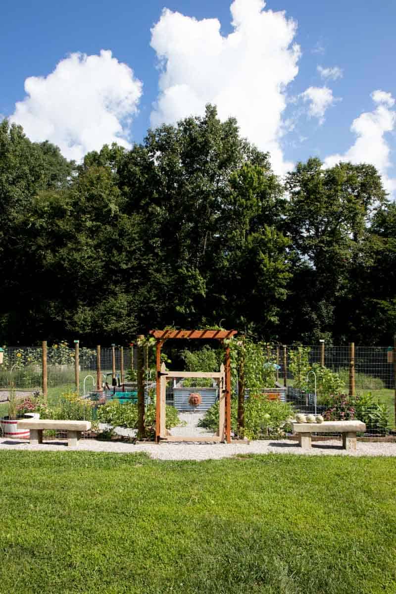 How to Pick the Perfect Garden Location Growfully