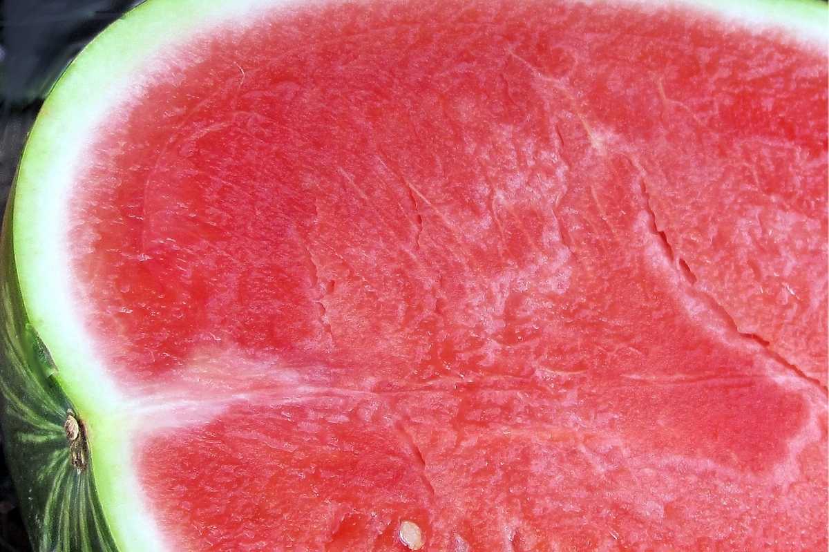 How To Grow Watermelon (Detailed Instructions) Growfully