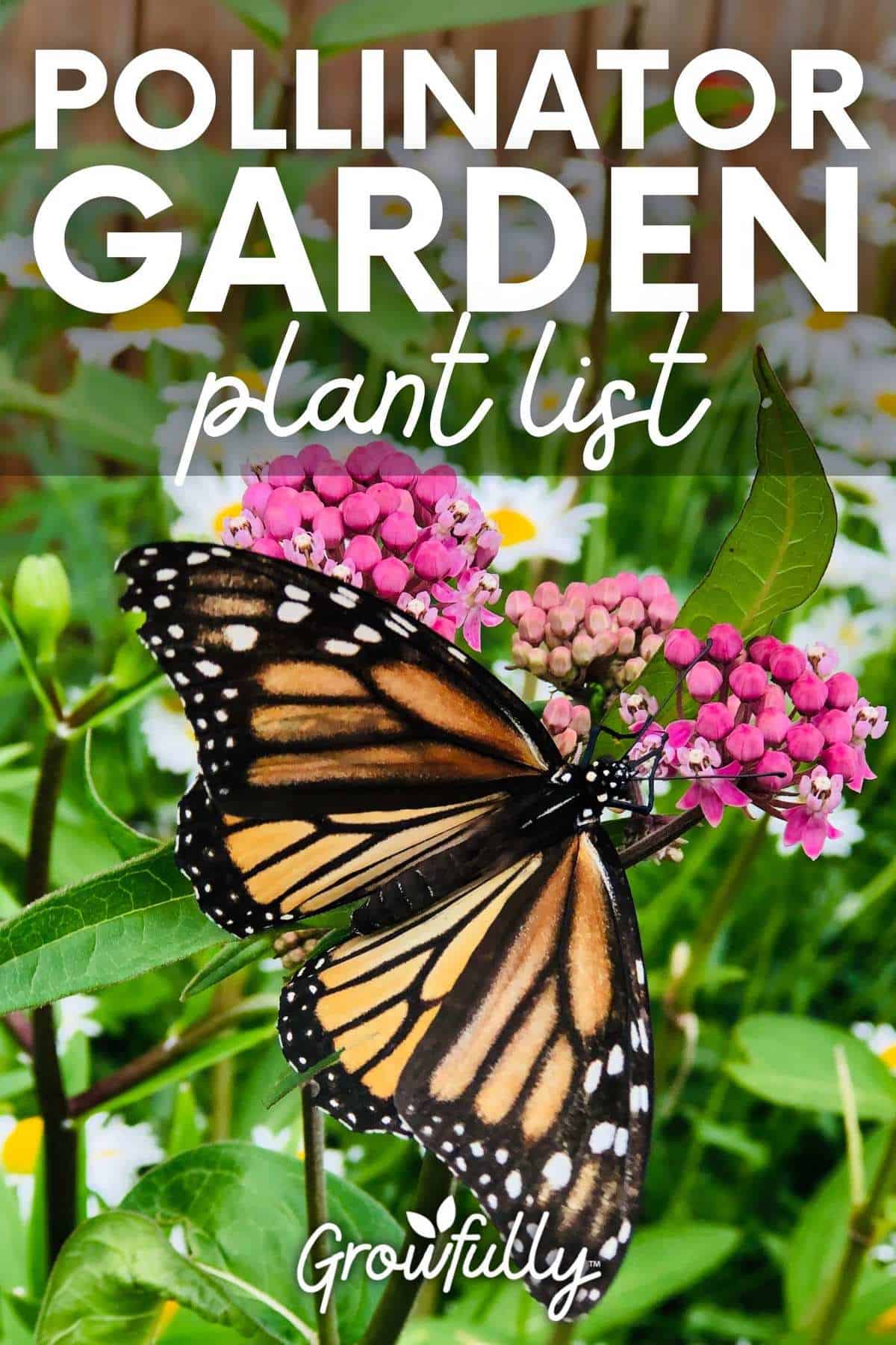 How and Why to Plant a Pollinator Garden Growfully