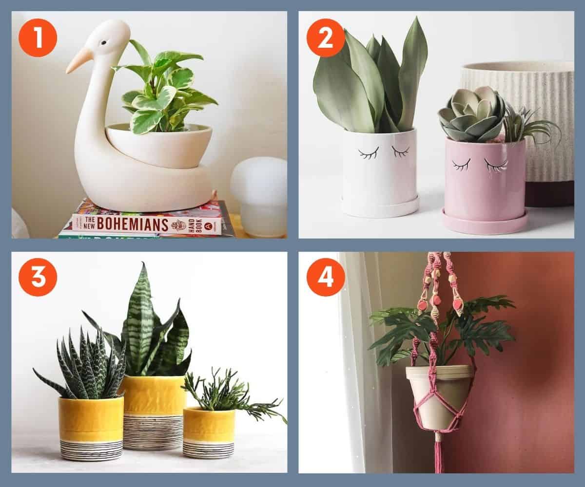 29+ Creative Gifts for Plant Lovers for 2022 Growfully