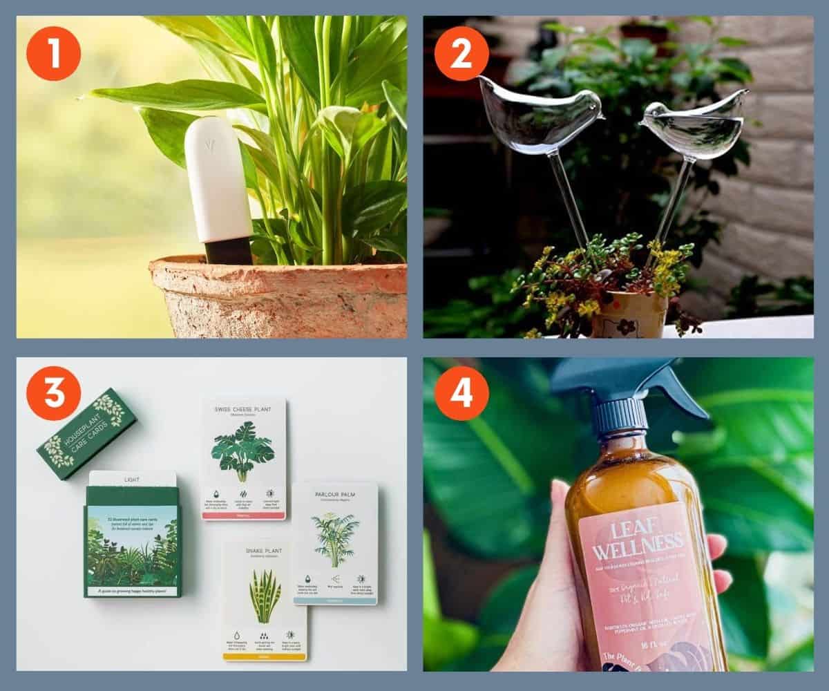 29+ Creative Gifts for Plant Lovers for 2022 Growfully