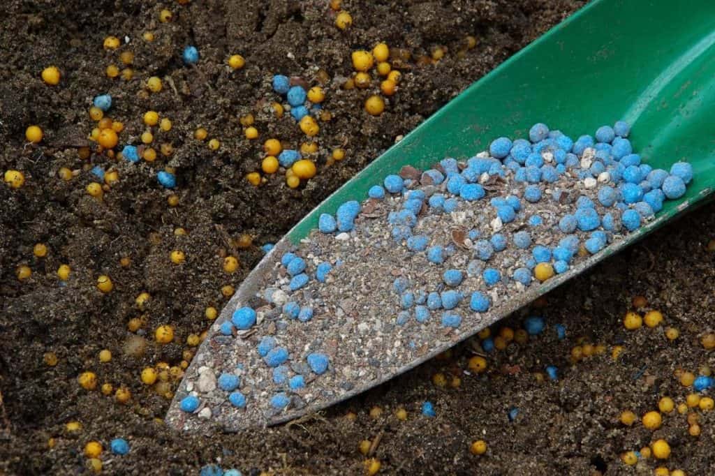 How to Add Phosphorus to Soil Organically Growfully