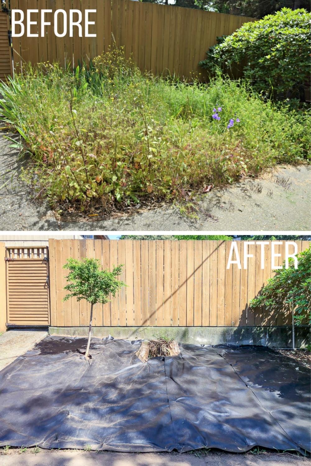 How to Clear an Overgrown Garden Fast
