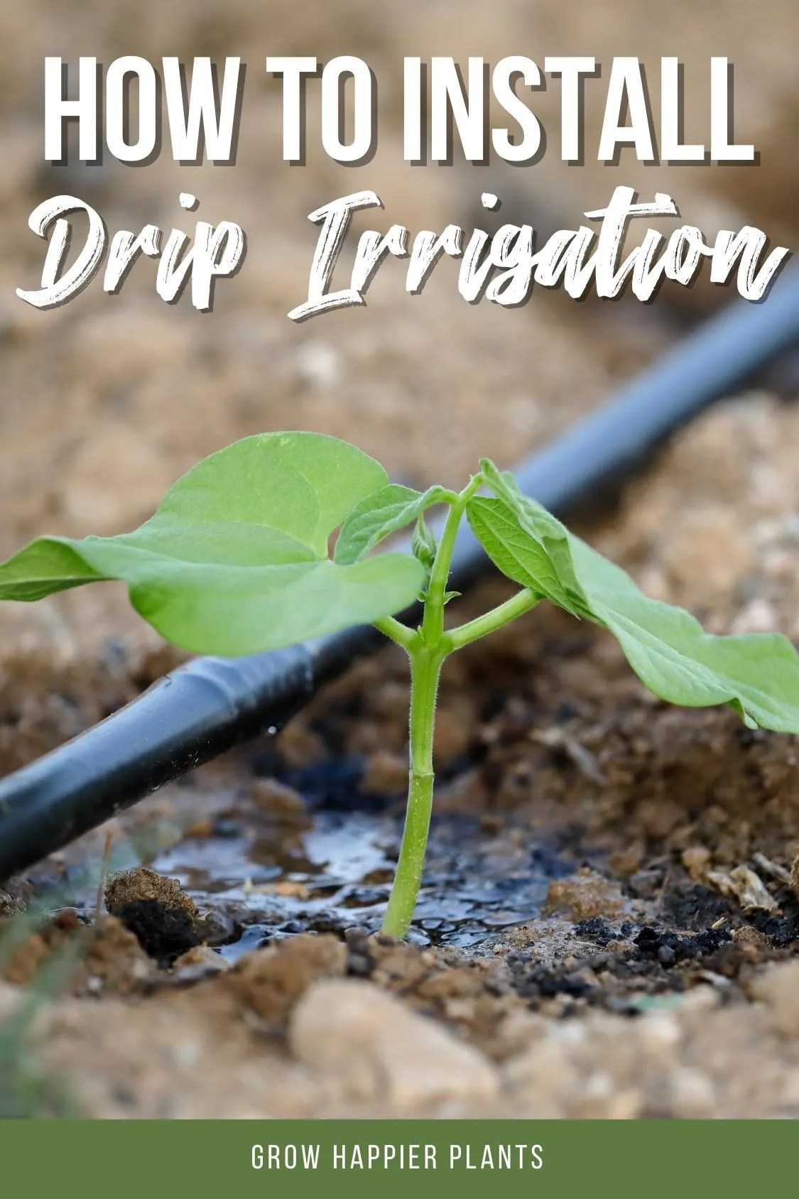 Drip Irrigation Images