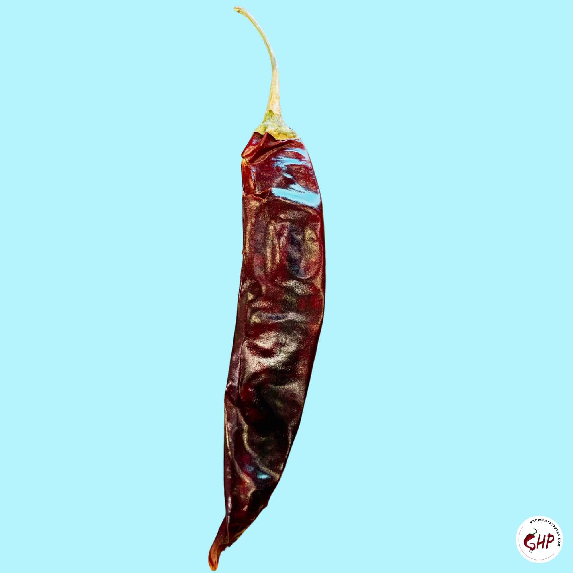Chile Puya 101 About This Deliciously Spicy Mexican Pepper (+ How To