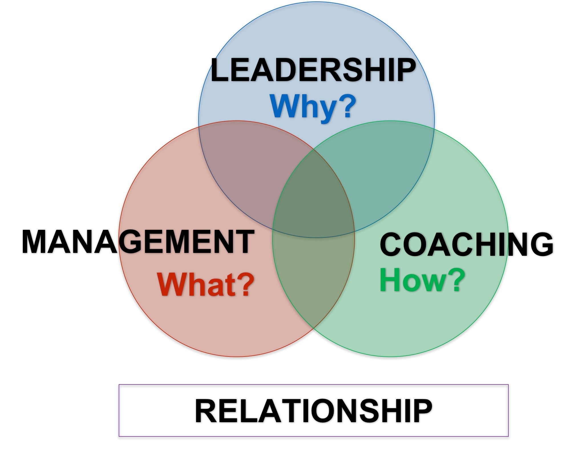 The three domains of high performance leadership Growhouse GB