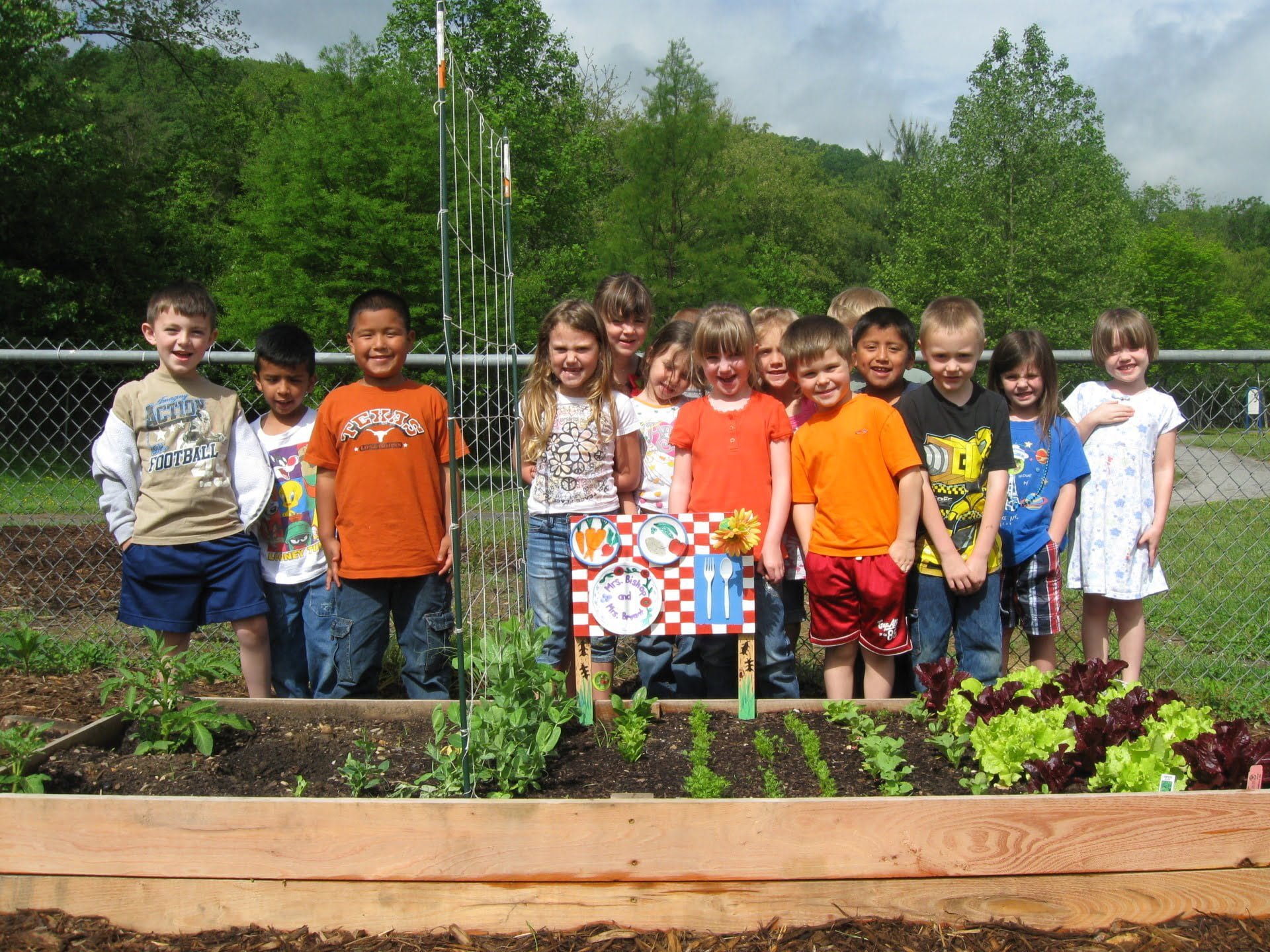 School Gardens Growing Minds