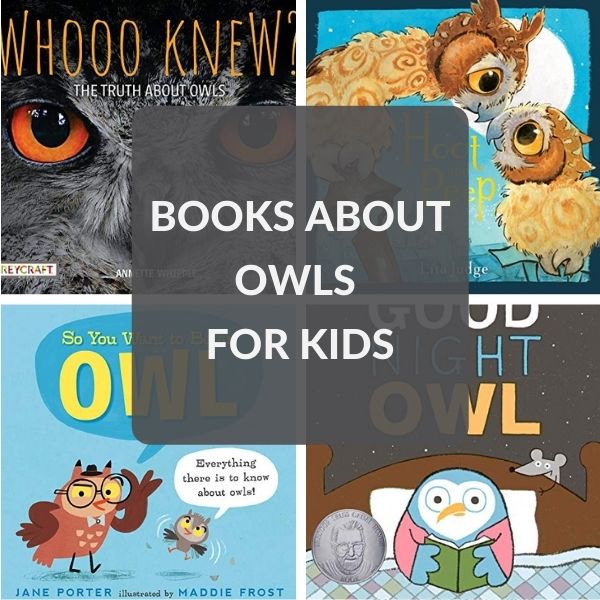 Give a HOOT for These Owl Books for Kids