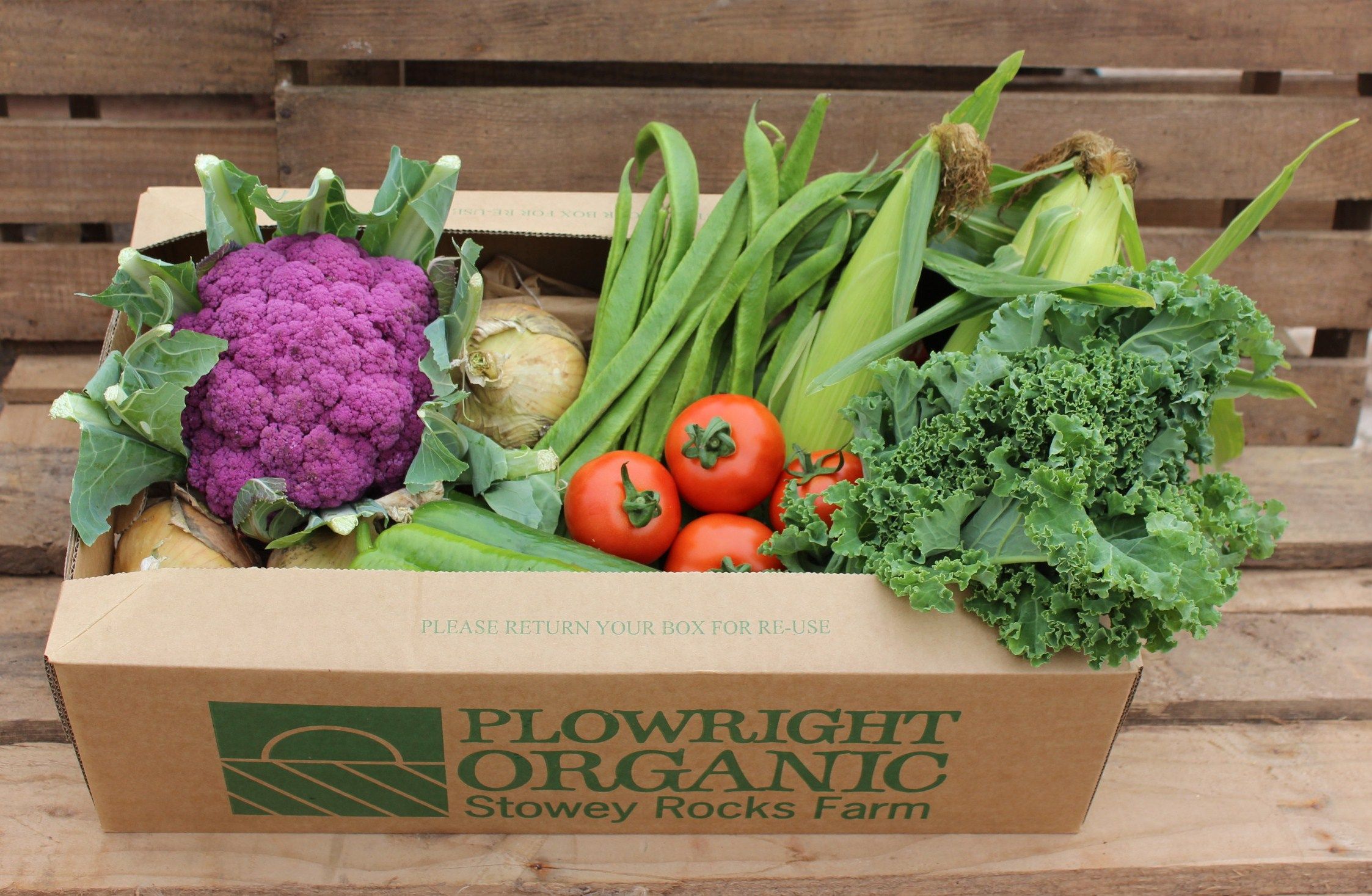 Seasonal veg boxes Plowright Organic