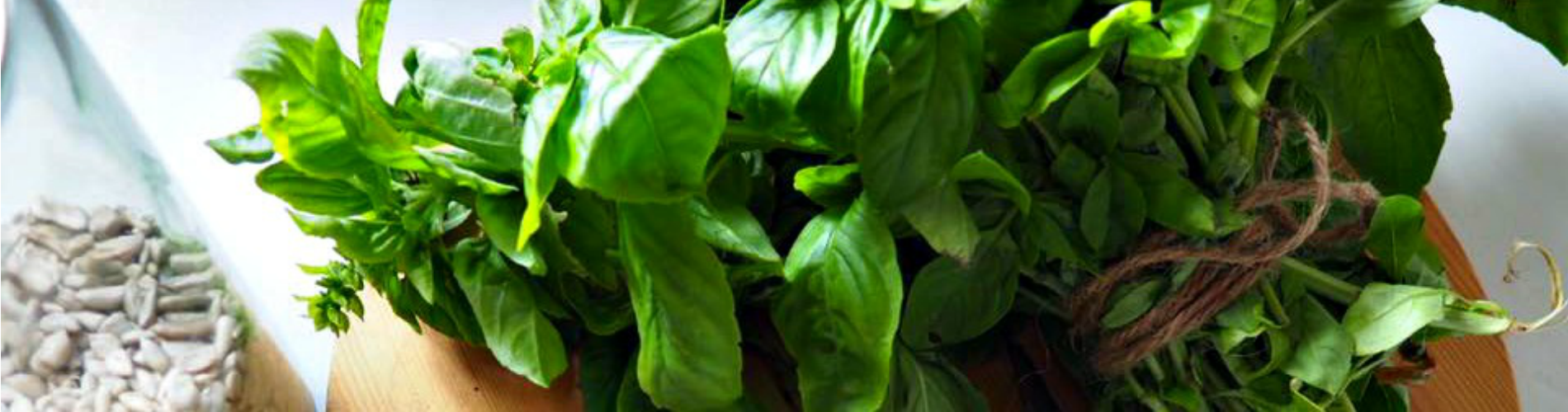 Basil Pesto Allergy Friendly Growing Green Thumbs