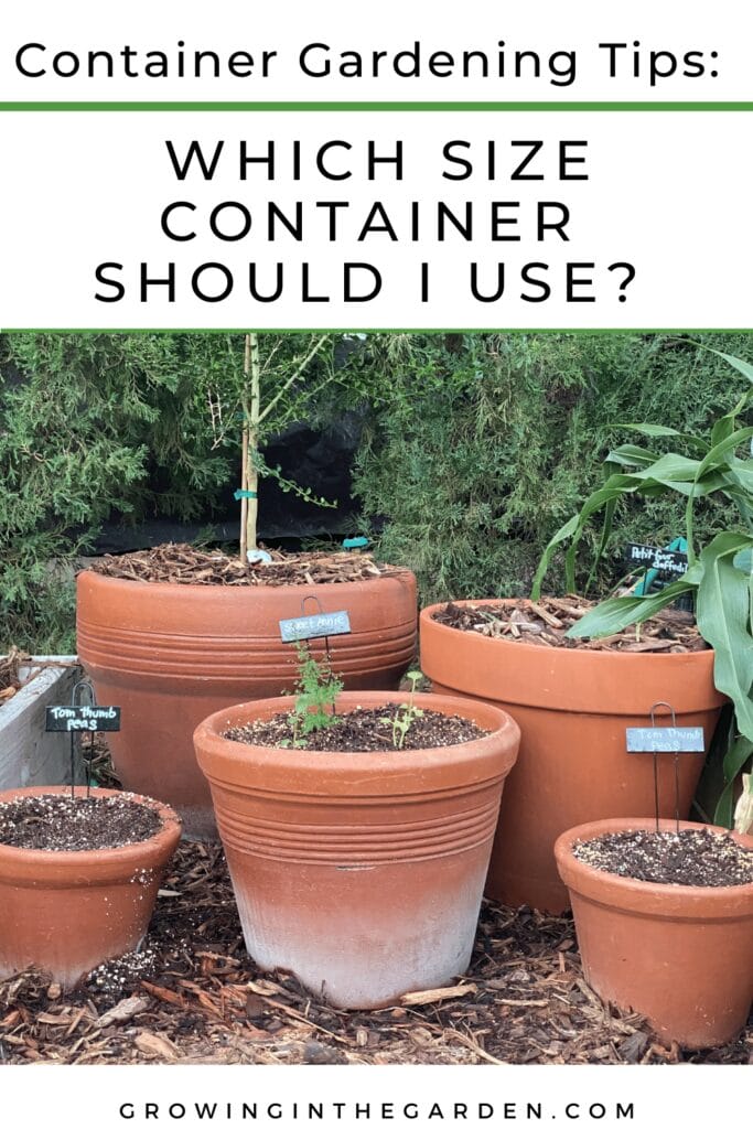 Guide to Container Sizes Which Size Container Should I Use? Growing