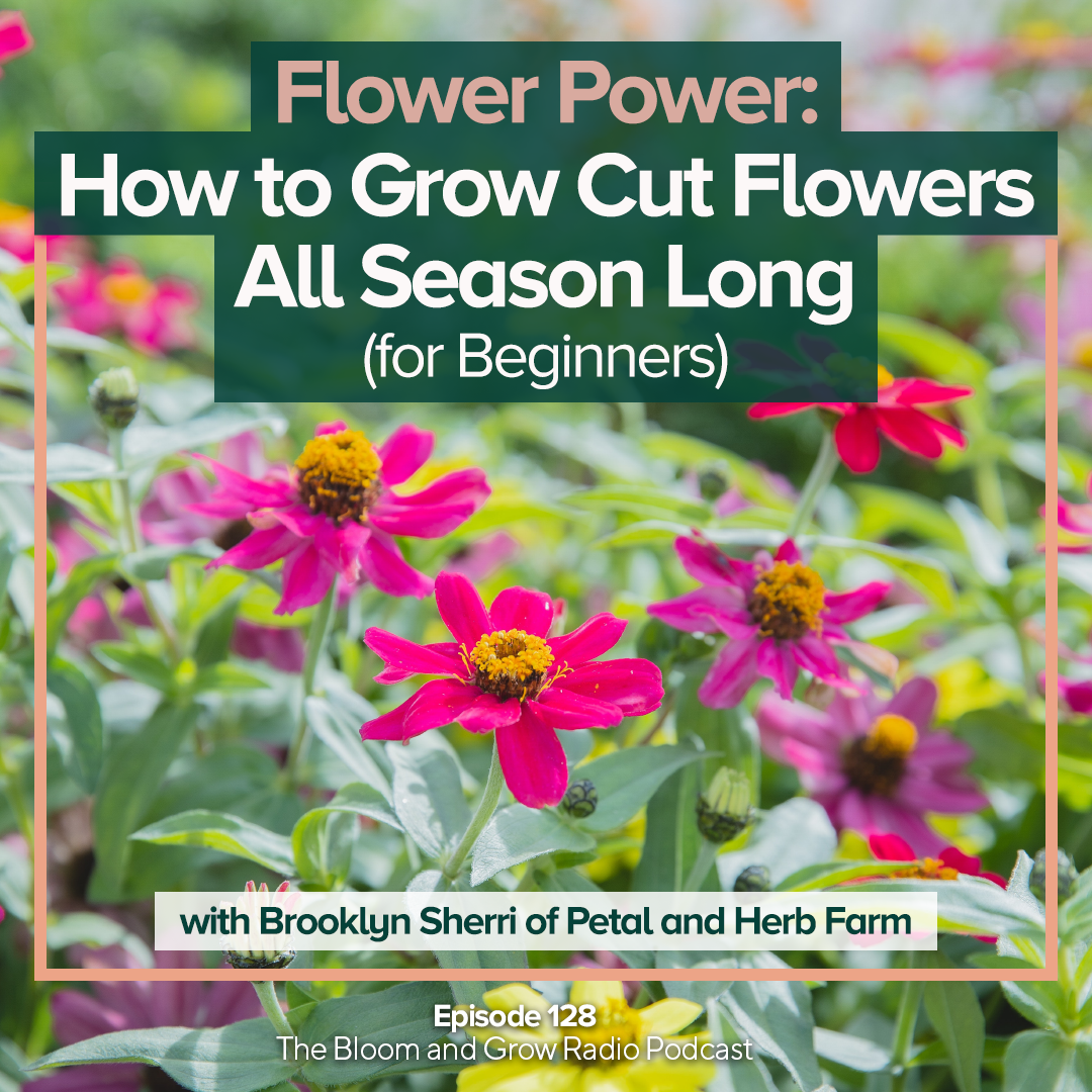 Flower Power How to Grow Cut Flowers All Season Long (for Beginners