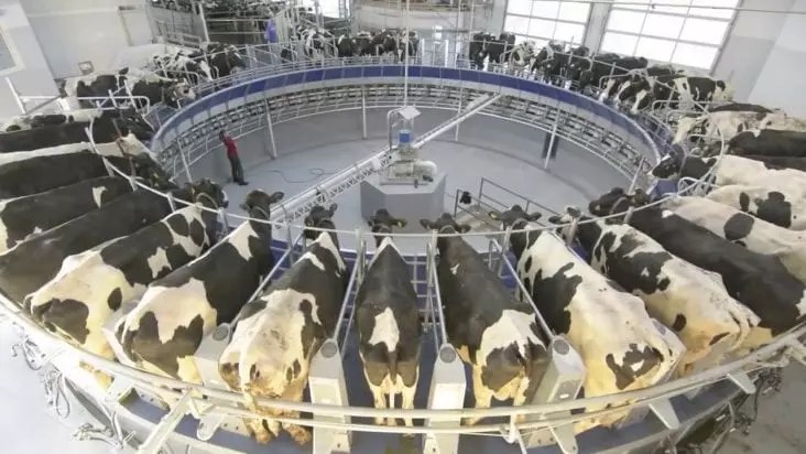 Machines That You Need On Your Farm 2021 Guide Growing Magazine