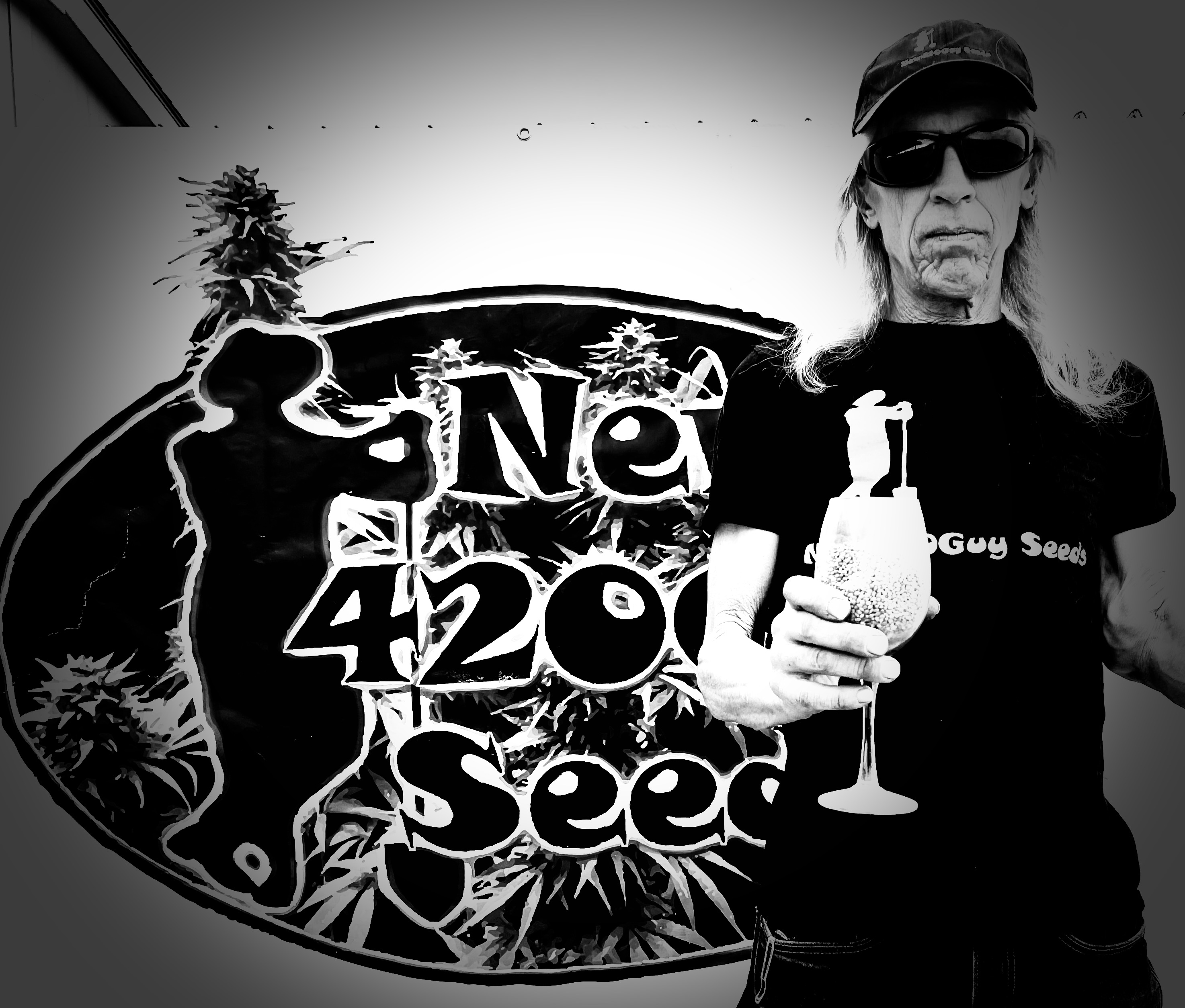 Wild Times In the Marijuana Seeds Industry Growing Marijuana Perfectly!