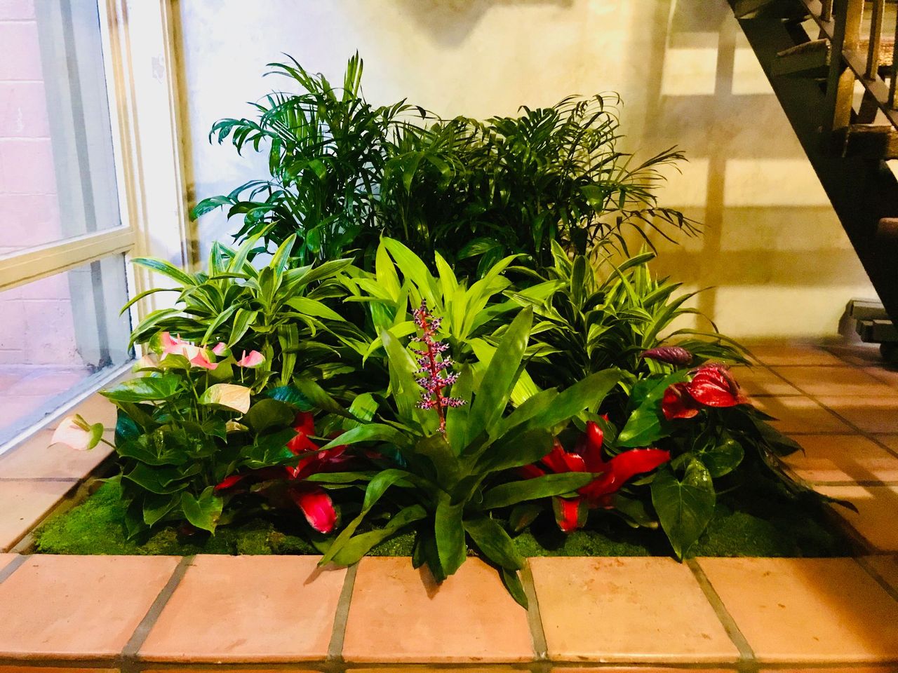 Process Behind Professional Indoor Plant Care Services