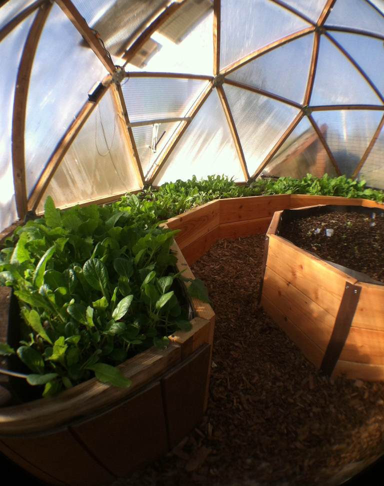 Celebrating Growth in the 15′ Growing Dome Episode 3 Growing Spaces