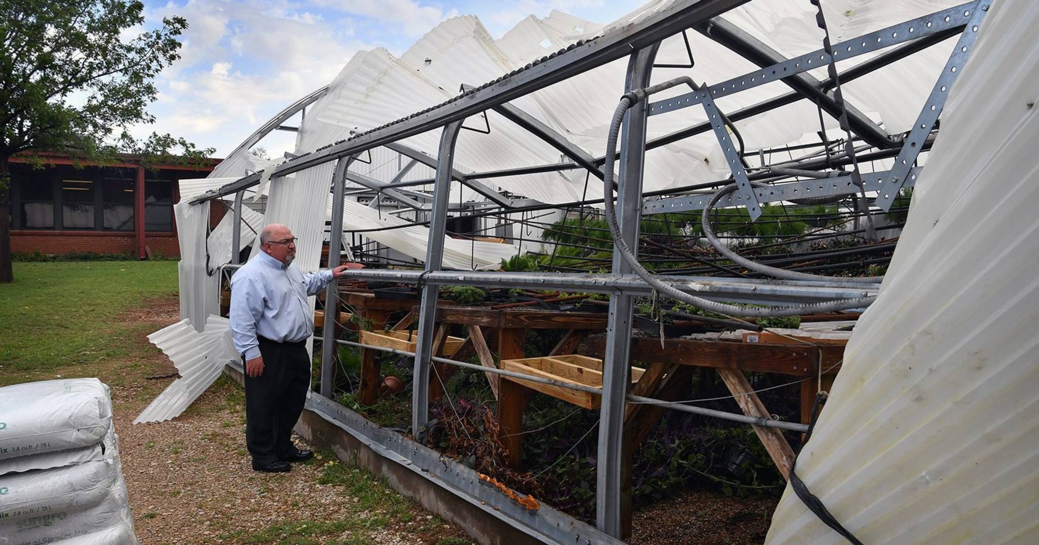 Best Greenhouse for Wind Growing Spaces Greenhouses